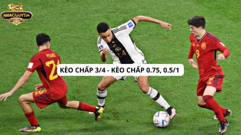 Review chi tiết nhất về kèo 3/4 là gì Review chi tiết nhất về kèo 3/4 là gì